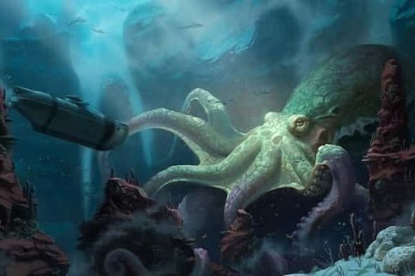 Kraken platform