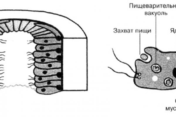 Сайт kraken тор